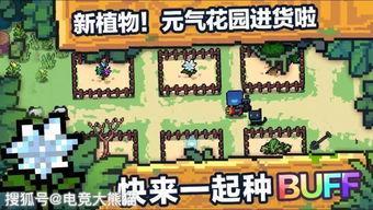 元气骑士最新大爆料,揭秘神秘大爆料，探索未知冒险世界